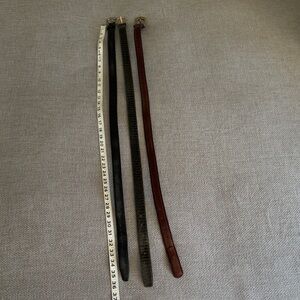 Set of Three Leather Belts in Black, Brown, and Gray Snakeskin